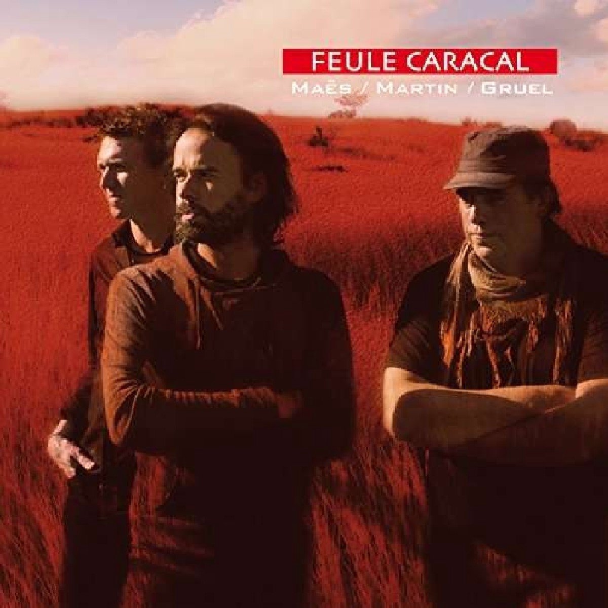 Maes & Martin & Gruel - Feule Caracal (CD)