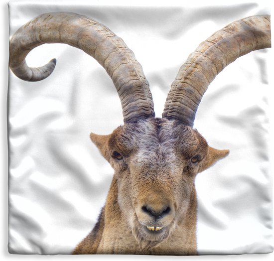 Kussenhoes 40x40 cm - Steenbok voor witte achtergrond - Katoen / Polyester - Voor Binnen