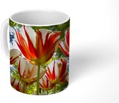 Mok - Een tuin met rood met witte tulpen - 350 ML - Beker