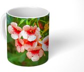 Mok - Oranje bloemen aan een klimplant - 350 ML - Beker