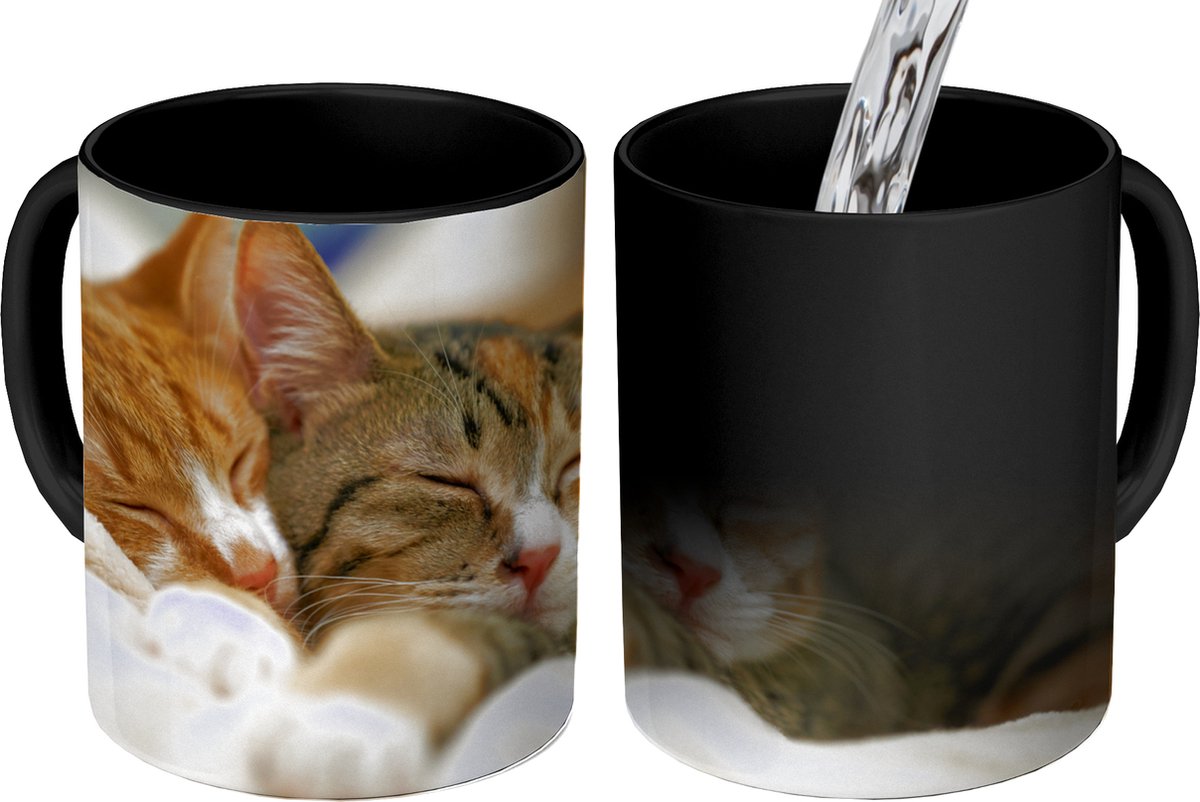 Magische Mok - Foto op Warmte Mokken - Koffiemok - Katten - Slapen - Kleed - Magic Mok - Beker - 350 ML - Theemok