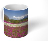 Mok - Kleurrijk landschap met veel vlambloemen - 350 ML - Beker