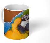 Mok -  een kleurrijke blauwkeelara - 350 ML - Beker
