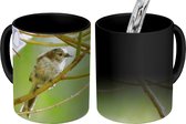 Magische Mok - Foto op Warmte Mokken - Koffiemok - Vogel tussen de takken - Magic Mok - Beker - 350 ML - Theemok