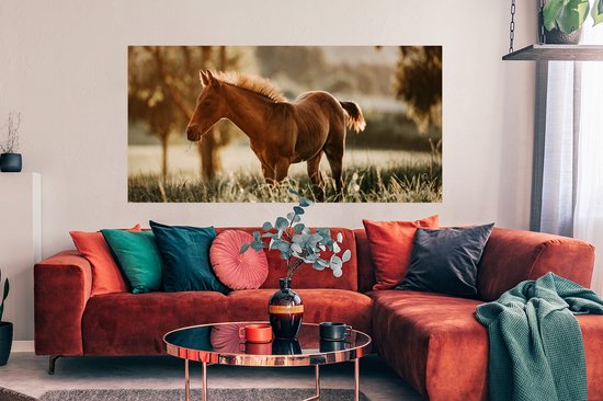 Affiche Cheval - Lumière - Prairie - 160x80 cm