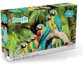 Puzzel papagaai 500 stukjes