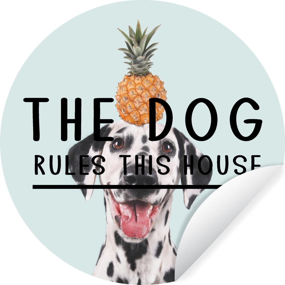 behangcirkel-quotes-hond-the-dog-rules-the-house-spreuken