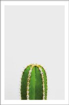 Walljar - Cactus II - Muurdecoratie - Poster met lijst
