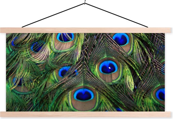 Porte-affiche avec affiche - Affiche scolaire - Paon - Ressorts - Yeux - Blauw - 60x30 cm - Lattes vierges