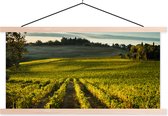Posterhanger incl. Poster 120x60 cm - Schoolplaat - Toscane - Landschap - Wijn - Textielposter - Blanke latten