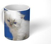 Mok - Koffiemok - Kitten - Kleed - Blauw - Meisjes - Kinderen - Jongens - Kids - Mokken - 350 ML - Beker - Koffiemokken - Theemok