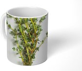 Mok - Bosje van verse tijm kruiden - 350 ML - Beker