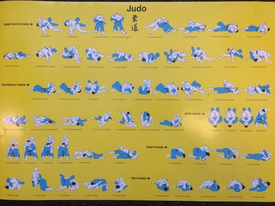 Affiche NIHON Judo Techniques Ne-Waza