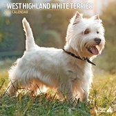 West Highland White  Terrier - Kalender 2022