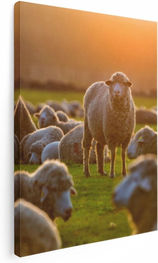 Artaza Canvas Schilderij Kudde Schapen bij Zonsondergang - 60x80 - Foto Op Canvas - Canvas Print