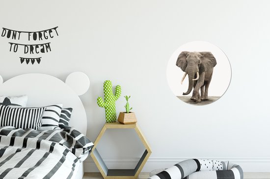Cercle mural - Cercle mural Indoor - ⌀ 30 cm - Plastique - Animaux - Éléphant - Grijs