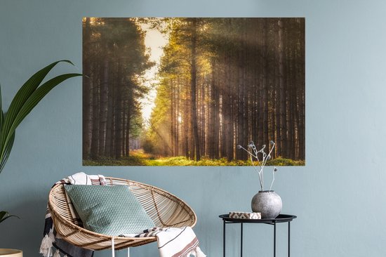 Sticker Muursticker Forêt - Rayons de soleil le long des grands arbres - 90x60 cm - film adhésif autocollant - sticker mural repositionnable