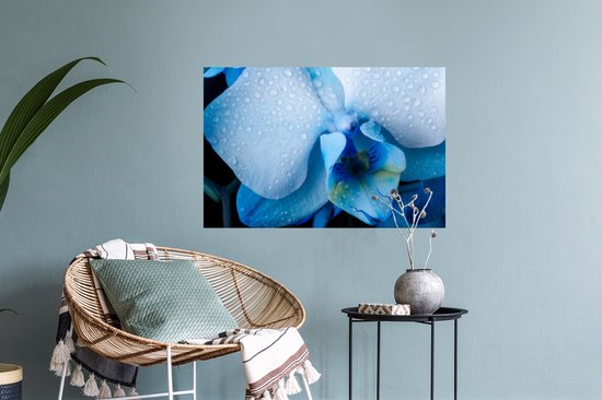 Muurstickers - Sticker Folie - Close-up van een blauwe orchidee met lichtgekleurde bladeren - 60x40 cm - Plakfolie - Muurstickers Kinderkamer - Zelfklevend Behang - Zelfklevend behangpapier - Stickerfolie