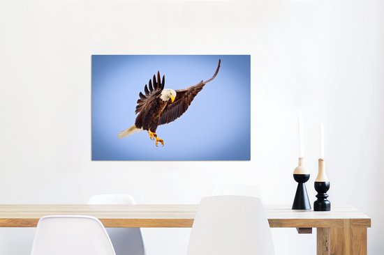 Aigle dans l'attaque Aluminium 90x60 cm - Tirage photo sur aluminium (décoration murale en métal)