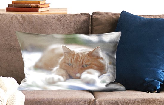 Sierkussen Chats' intérieur - Chat reposant sur lit - 60x40 cm - Coussin intérieur rectangulaire en coton
