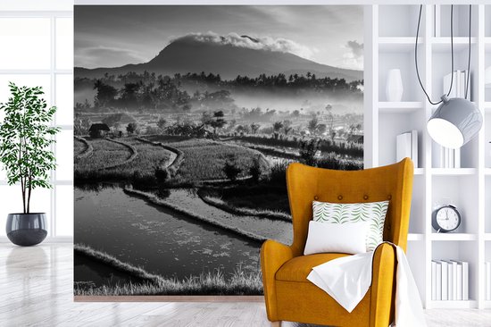 Papier peint Papier peint photo en vinyle - Rizières de Tirtagangga à Bali en Indonésie - noir et blanc largeur 220 cm x hauteur 220 cm - Tirage photo sur papier peint (disponible en 7 tailles)