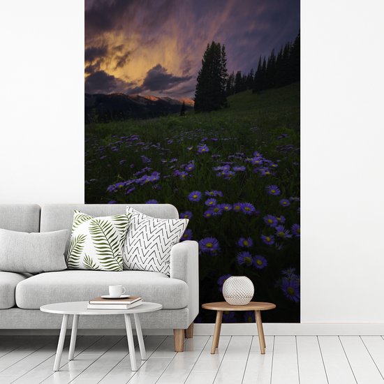 Champ de fleurs dans les montagnes Rocky au crépuscule 170x260 cm