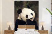 Behang - Fotobehang Panda - Bamboe - Eten - Breedte 180 cm x hoogte 280 cm