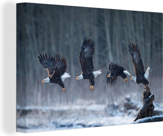 Aigle se lève à 180x120 cm - Tirage photo sur toile (Décoration murale salon / chambre) XXL / Groot format!