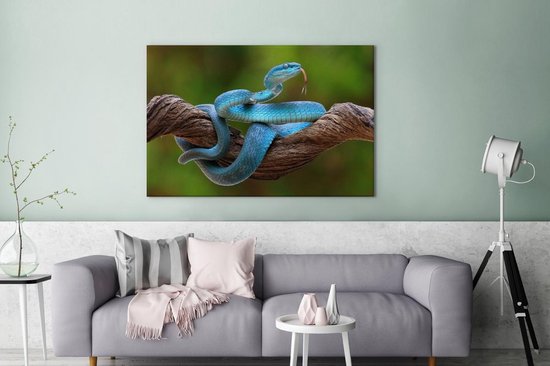 Canvas Schilderij Felblauwe slang in boom - 120x80 cm - Wanddecoratie