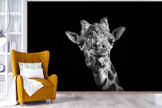 Papier peint - Papier peint Papier peint photo Girafe - Animal - Zwart - Wit - Largeur 390 cm x hauteur 260 cm