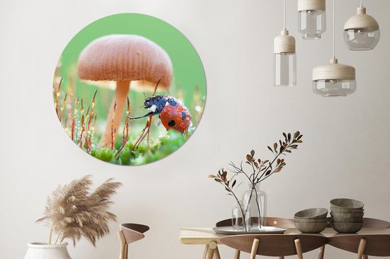 WallCircle - Cercle Mural - Cercle Mural - Coccinelle - Champignon - Insectes - Aluminium - Dibond - 140x140 cm - Intérieur et Extérieur