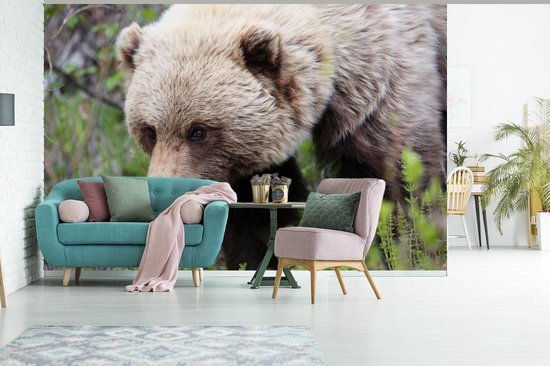 Papier peint Papier peint photo en vinyle - Gros plan d'un grizzli largeur 450 cm x hauteur 300 cm - Tirage photo sur papier peint (disponible en 7 tailles)