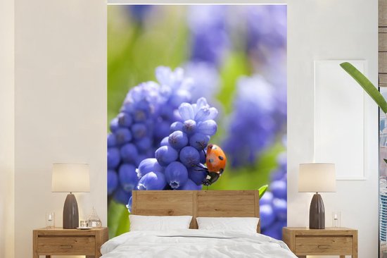 Coccinelle sur jacinthe de raisin dans un champ de fleurs 160x240 cm