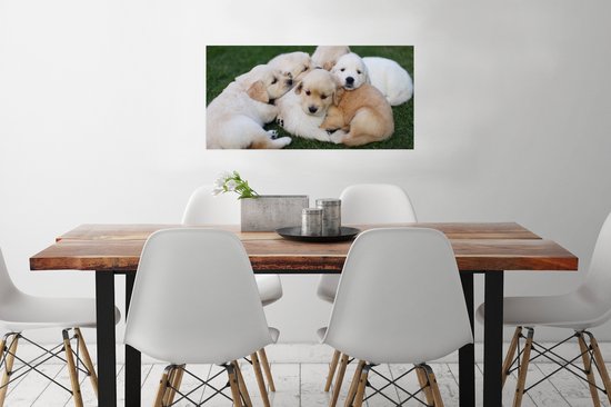 Affiche Animaux - Chiots - Chiens - 80x40 cm