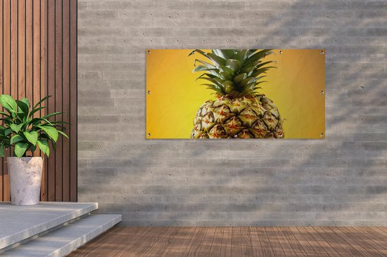 Affiche clôture Ananas - Fruit - Jaune - 200x100 cm - Toile de jardin