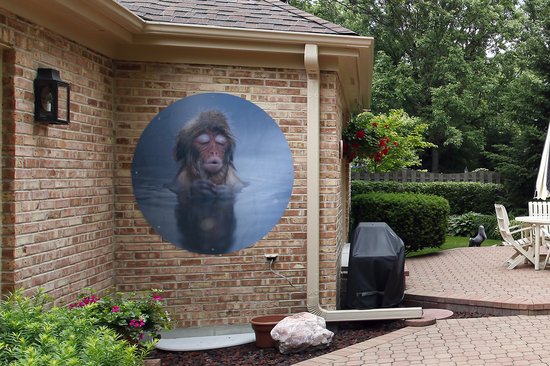 Garden Circle Snow Monkey Blue Water - 120x120 cm - Affiche de Jardin Ronde - Extérieur - XXL