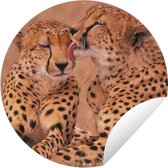 Tuincirkel Baby cheeta's - 120x120 cm - Ronde Tuinposter - Buiten XXL / Groot formaat!