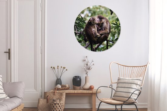 Famille de singes sur une branche Sticker mural cercle mural 100x100 cm / cercle de papier peint / cercle mural / cercle vivant - autocollant et coupe ronde