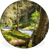 Cercle mural - Cercle mural - Lit de rivière dans les forêts du parc national du Hohe Tauern - Aluminium - ⌀ 120 cm - Intérieur et extérieur XXL