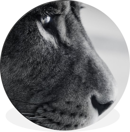 Cercle mural - Cercle mural - Lion profil animal en noir et blanc - Aluminium - ⌀ 30 cm - Intérieur et extérieur