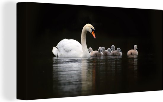 Canvas Schilderij Vogels - Zwaan - Kuiken - 80x40 cm - Wanddecoratie