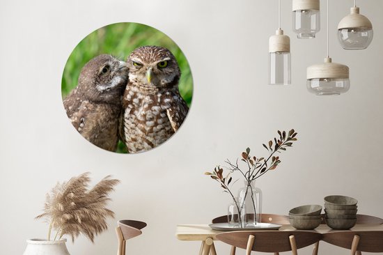 WallCircle - Stickers muraux - Cercle Papier Peint - Hiboux - Vogels - Herbe - 100x100 cm - Cercle Mural - Auto Adhésif - Sticker Papier Peint Rond XXL
