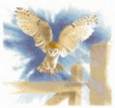 Heritage Crafts Owl in Flight borduren (pakket) 483A