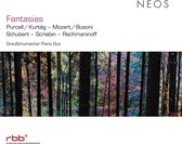 Grauschumacher Piano Duo - Fantasias (CD)