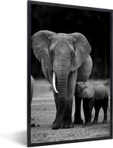 Fotolijst incl. Poster Zwart Wit- Baby olifant die gevoed wordt door zijn moeder - zwart wit - 60x90 cm - Posterlijst - Kerstversiering - Kerstdecoratie voor binnen - Kerstmis