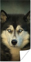 Poster Husky kijkt in camera - 75x150 cm