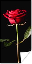 Affiche Une rose rouge sur fond noir - 40x80 cm