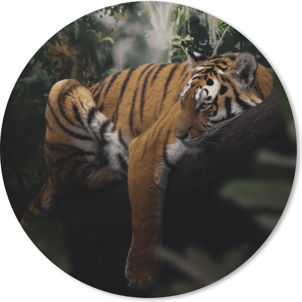Muismat rond 20x20 cm - Mousepad Dieren - Tijger - Jungle - Ronde muismatten