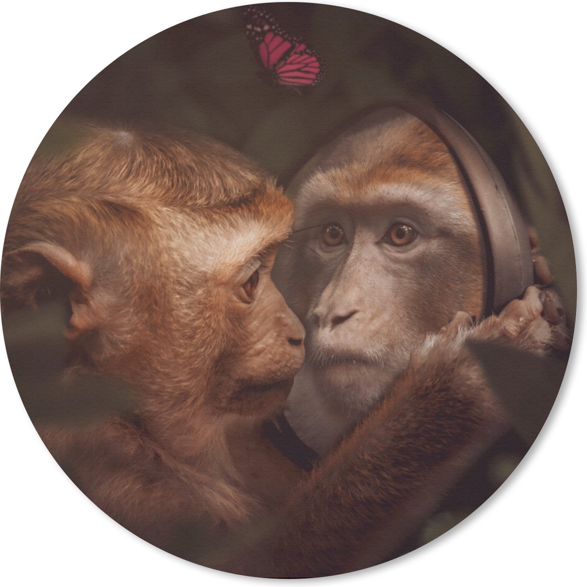 Muismat rond 20x20 cm - Mousepad Vlinder - Aap - Dieren - Jungle - Ronde muismatten