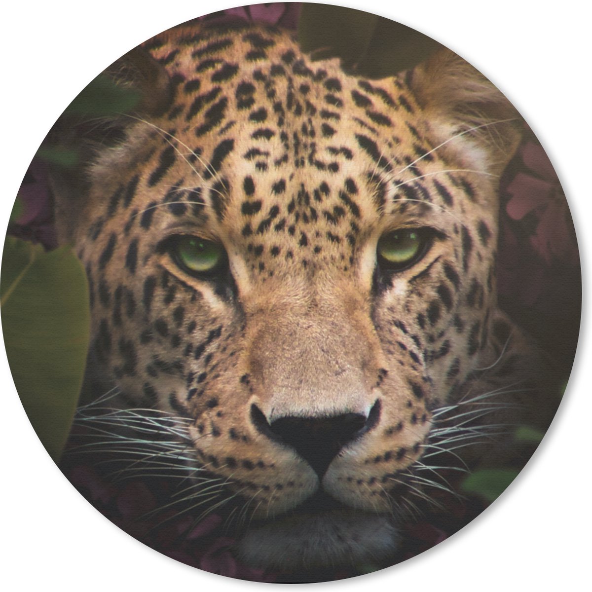 Muismat rond 30x30 cm - Mousepad Dieren - Panter - Jungle - Ronde muismatten